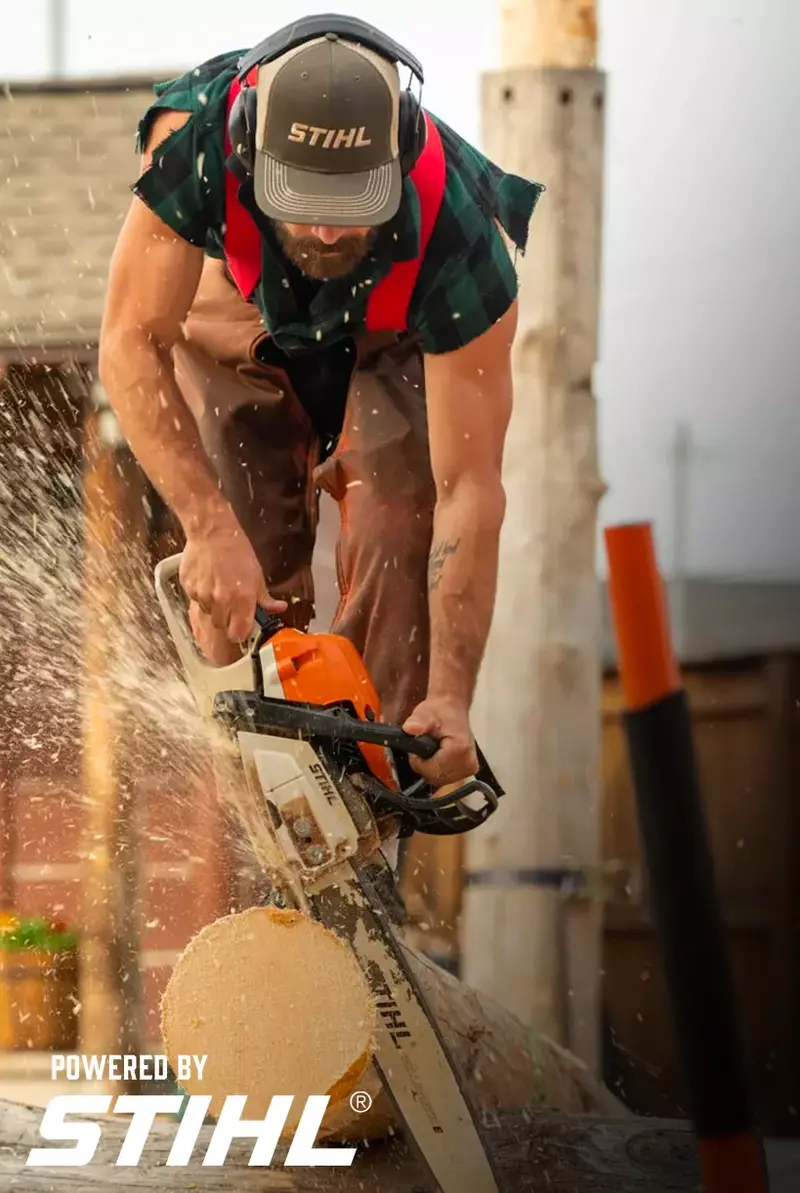 Lumberjack sawing log