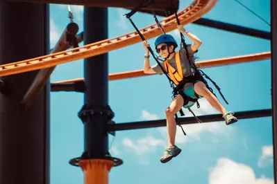 Flying Ox at Paula Deen's Lumberjack Feud