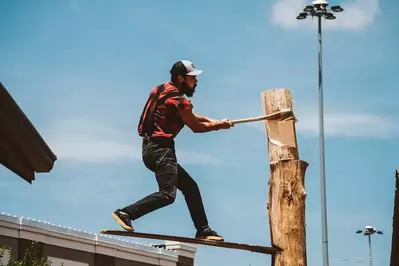 Springboard chop at Lumberjack Feud in Pigeon Forge