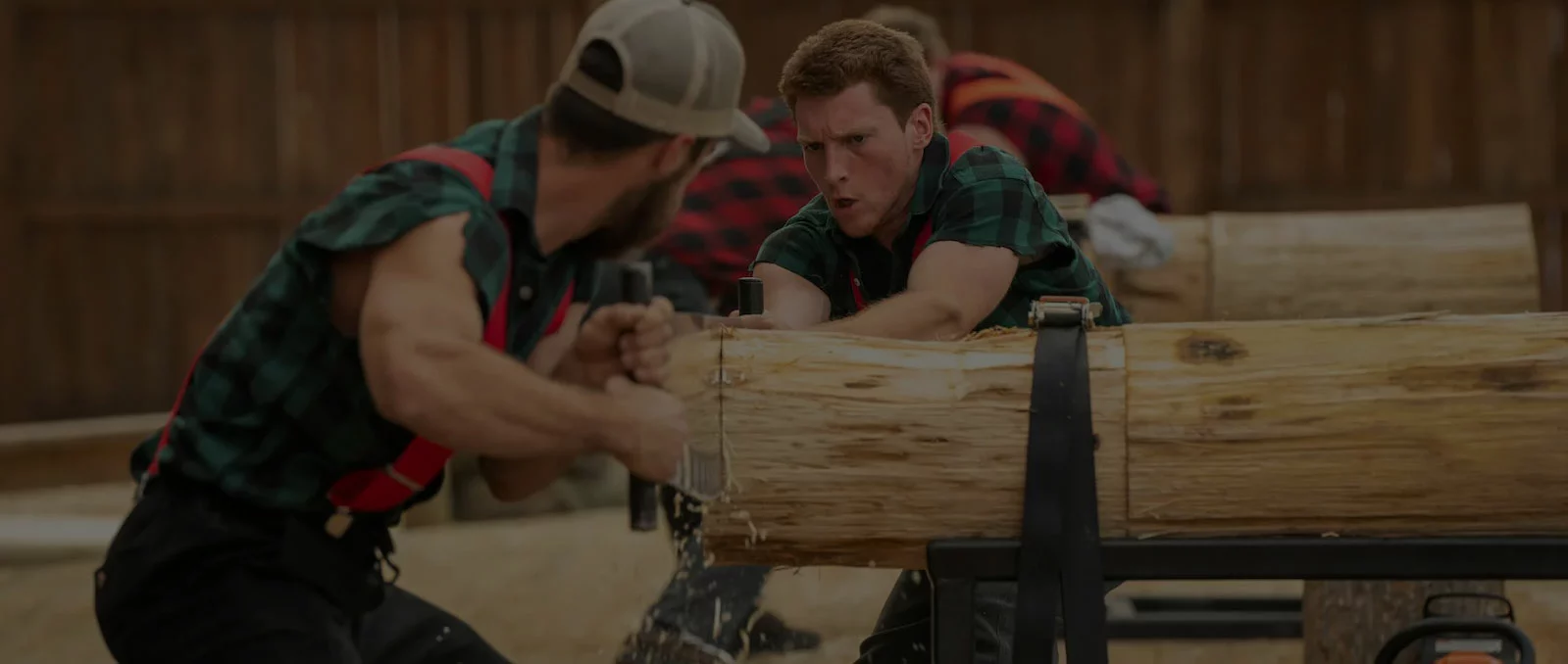 Dawson family sawing a log