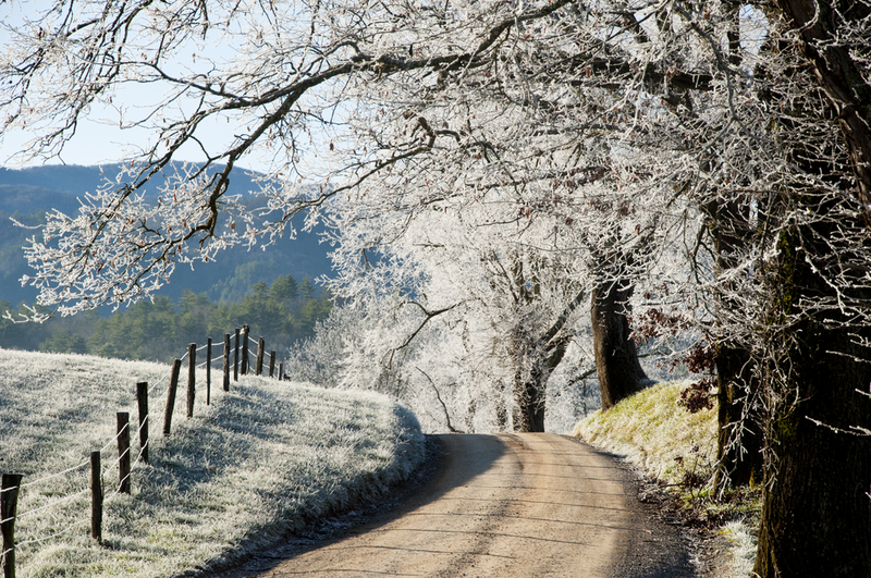 cades cove loop road