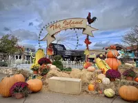 fall in pigeon forge tn